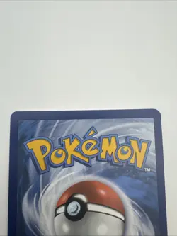 2024 Pokemon TEF EN Raging Bolt Ex 208/162 Special Illustration Rare NM - Image 5