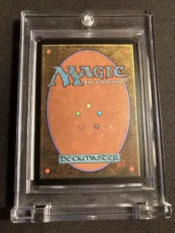 MTG MAGIC THE GATHERING FORESTA TERRA BASE 249/249 RARE - Image 2
