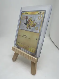 Shinx 135/091 SV: Paldean Fates Holographic Card NM/M - Image 2