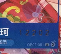 SERIALIZED Boa Hancock One Piece 2024 Chinese 2nd Anniversary Set PSA 10 GEM - Image 2