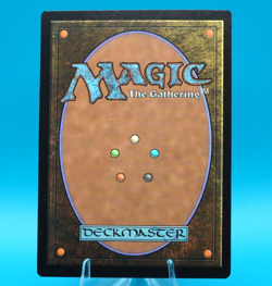 Forest | 0892 | Rare | Foil | Secret Lair | MTG | Pack Fresh / Unplayed - Image 2