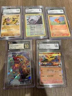 5-card Pokemon Slab Lot - Hippowdon, Shelton, Torchic, Crocalor, Typhlosion - Image 1