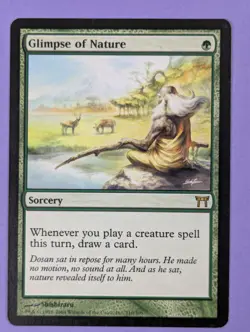 MTG Magic: Champions of Kamigawa: Glimpse of Nature #210/306 Rare - NM - Image 1