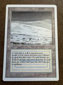 MTG: Revised - Tundra NM - Image 1