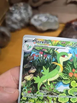 Pokemon TCG Servine Illustration Rare Black Bolt NM Condition 88/86 - Image 5