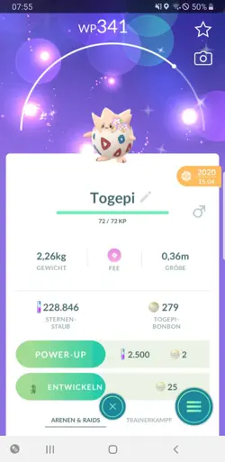 Pokemon Go Shiny Togepi Blumenkranz - Pokemon Go Shiny Togepi Flower Crown - Image 1