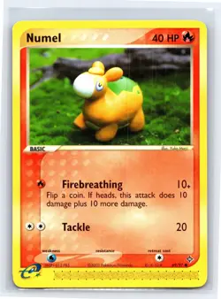 2003 Pokemon TCG EX Dragon Numel - 69/97 - NM - Image 1