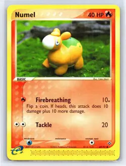 2003 Pokemon TCG EX Dragon Numel - 69/97 - NM - Image 3