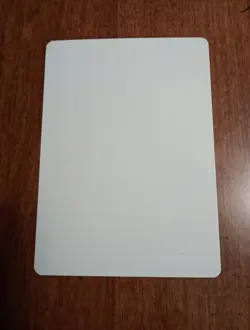 1995 MTG - Homelands - ERON THE RELENTLESS - Artist Proof Christopher Rush AP NM - Image 2