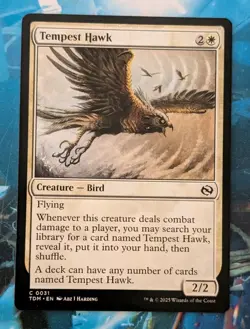 MTG Tarkir : Dragonstorm Common TEMPEST HAWK NM - Image 1