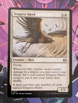 MTG Tarkir : Dragonstorm Common TEMPEST HAWK NM - Image 2