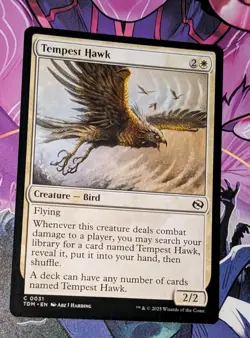 MTG Tarkir : Dragonstorm Common TEMPEST HAWK NM - Image 3