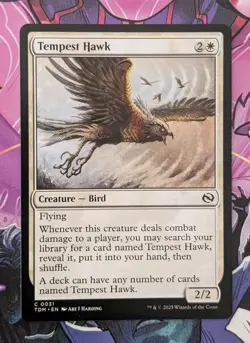 MTG Tarkir : Dragonstorm Common TEMPEST HAWK NM - Image 4