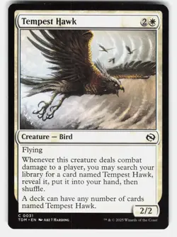 TEMPEST HAWK - Magic: The Gathering - Harding LP - Image 1