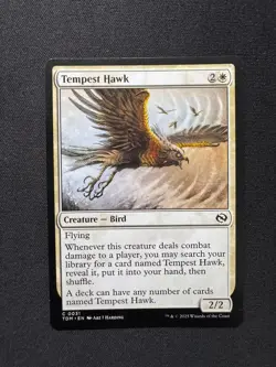 TEMPEST HAWK Tarkir: Dragonstorm - Magic: The Gathering - NM/M - Image 1