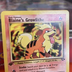 Pokemon TCG Blaine's Growlithe 62/132 1st Edition Gym Challenge Common WOTC - Image 4