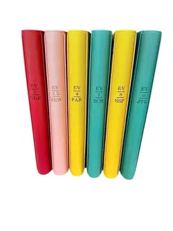Classeur Pokemon Pour Master Set Flamme Blanche (White Flare) - Image 3