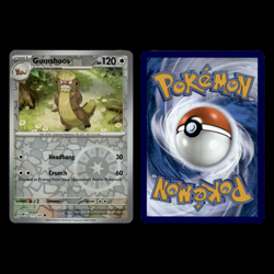 6x Lot Gumshoos Yungoos Pokemon Cards Collection Set Deck Building TCG - Image 4