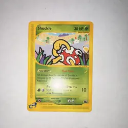 Pokemon Shuckle Common 96/144 Skyridge Regular Basic 30 HP Card English - Image 1