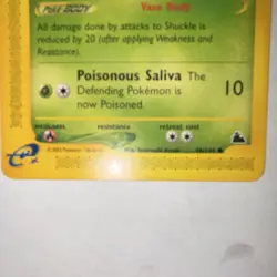 Pokemon Shuckle Common 96/144 Skyridge Regular Basic 30 HP Card English - Image 3