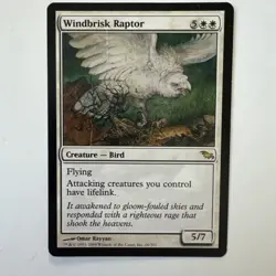 Windbrisk Raptor 26/301 MTG Shards of Alara Rare Flying Lifelink White - Image 1