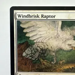 Windbrisk Raptor 26/301 MTG Shards of Alara Rare Flying Lifelink White - Image 2