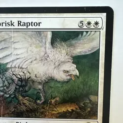 Windbrisk Raptor 26/301 MTG Shards of Alara Rare Flying Lifelink White - Image 3
