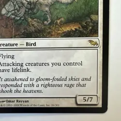 Windbrisk Raptor 26/301 MTG Shards of Alara Rare Flying Lifelink White - Image 4