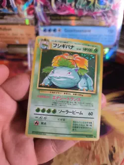 Pokemon Karte Card Bisaflor Venusaur Expansion Base Set Holo Wotc japanese Exc - Image 3
