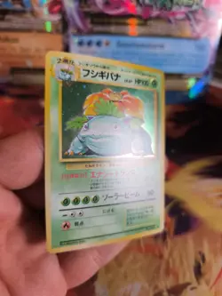 Pokemon Karte Card Bisaflor Venusaur Expansion Base Set Holo Wotc japanese Exc - Image 5