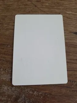 Tandem Lookout Artist Proof SIGNED By Kev Walker Magic The Gathering - Image 2