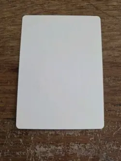 Scion Of The Wild Artist Proof SIGNED By Kev Walker Magic The Gathering - Image 2