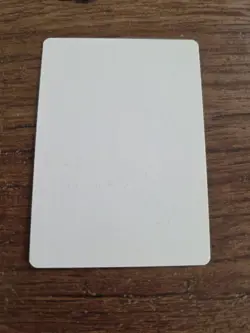 Viridian Zealot Artist Proofs SIGNED By Kev Walker Magic The Gathering - Image 2