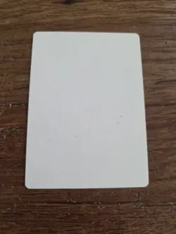 Wild Battlemaster Artist Proofs SIGNED By Kev Walker Magic The Gathering - Image 2