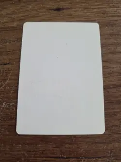 Sages Of The Anima Artist Proofs SIGNED By Kev Walker Magic The Gathering - Image 2