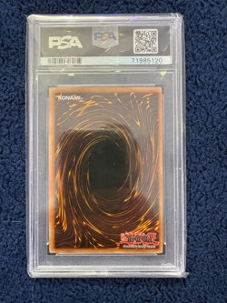 PSA 9 Red-Eyes Black Dragon Shonen Jump Promo JMP-002 - 2003 Yu-Gi-Oh - Image 2