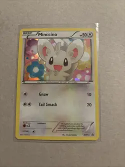 Minccino BW13 Cracked Ice Holo Black Star Promo Pokemon - Image 1