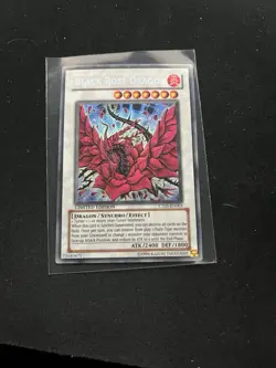 Black Rose Dragon CT05-EN003 Yu-Gi-Oh Limited Edition LP - Image 1