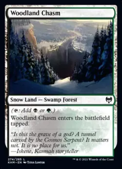 Woodland Chasm -Foil Light Play MTG Kaldheim - Image 1