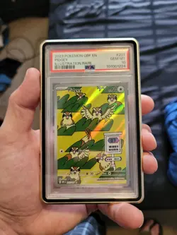2023 POKEMON OBF EN-OBSIDIAN FLAMES #207 PIDGEY ILLUSTRATION RARE💥💥💥 - PSA 10 - Image 1