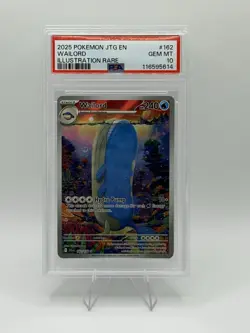 Pokemon Wailord Sv09 Journey Together Illustration Rare Holo PSA 10 162/159 - Image 1