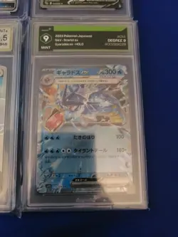 6 Graded Pokemon Card Lot Leafeon, Gyarados,Togekiss,Rayquaza,Octillery 9,9.5,10 - Image 5