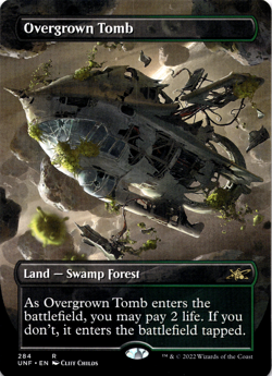 Overgrown Tomb (Borderless) - Unfinity (UNF)NM REG NON-FOIL - Image 1