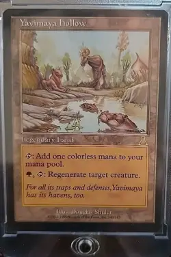 Yavimaya Hollow Urza's Destiny MTG Regular Moderately Played - Image 3