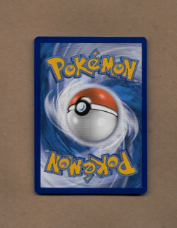 2023 Pokemon Scarlet & Violet TCG Wiglett Holo Rare Card #206 MINT - Image 2