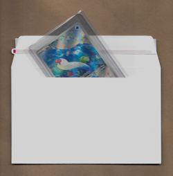 2023 Pokemon Scarlet & Violet TCG Wiglett Holo Rare Card #206 MINT - Image 4