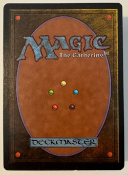 Tropical Island Unlimited Edition Regular - Image 2