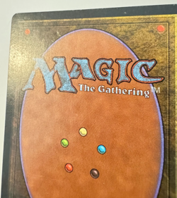 Tropical Island Unlimited Edition Regular - Image 3