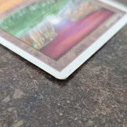 Magic The Gathering Brushland Land x2 5th edition and Ice Age - Image 5