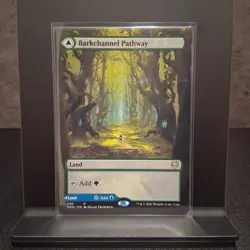 MTG Barkchannel Pathway - Tidechannel Pathway (Borderless) Kaldheim Regular - Image 1